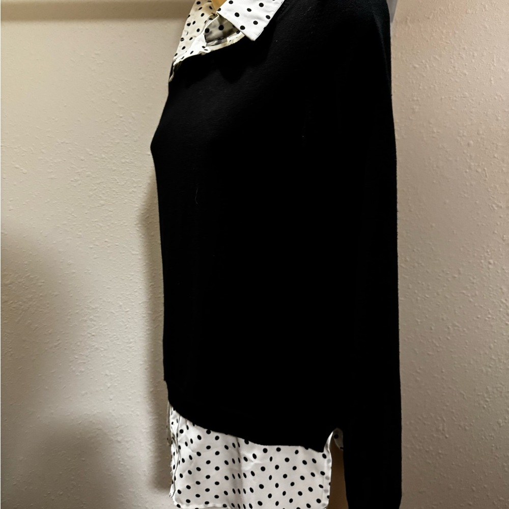 Adrianna Pappell Polkadot Sweater Blouse - Picture 2 of 4